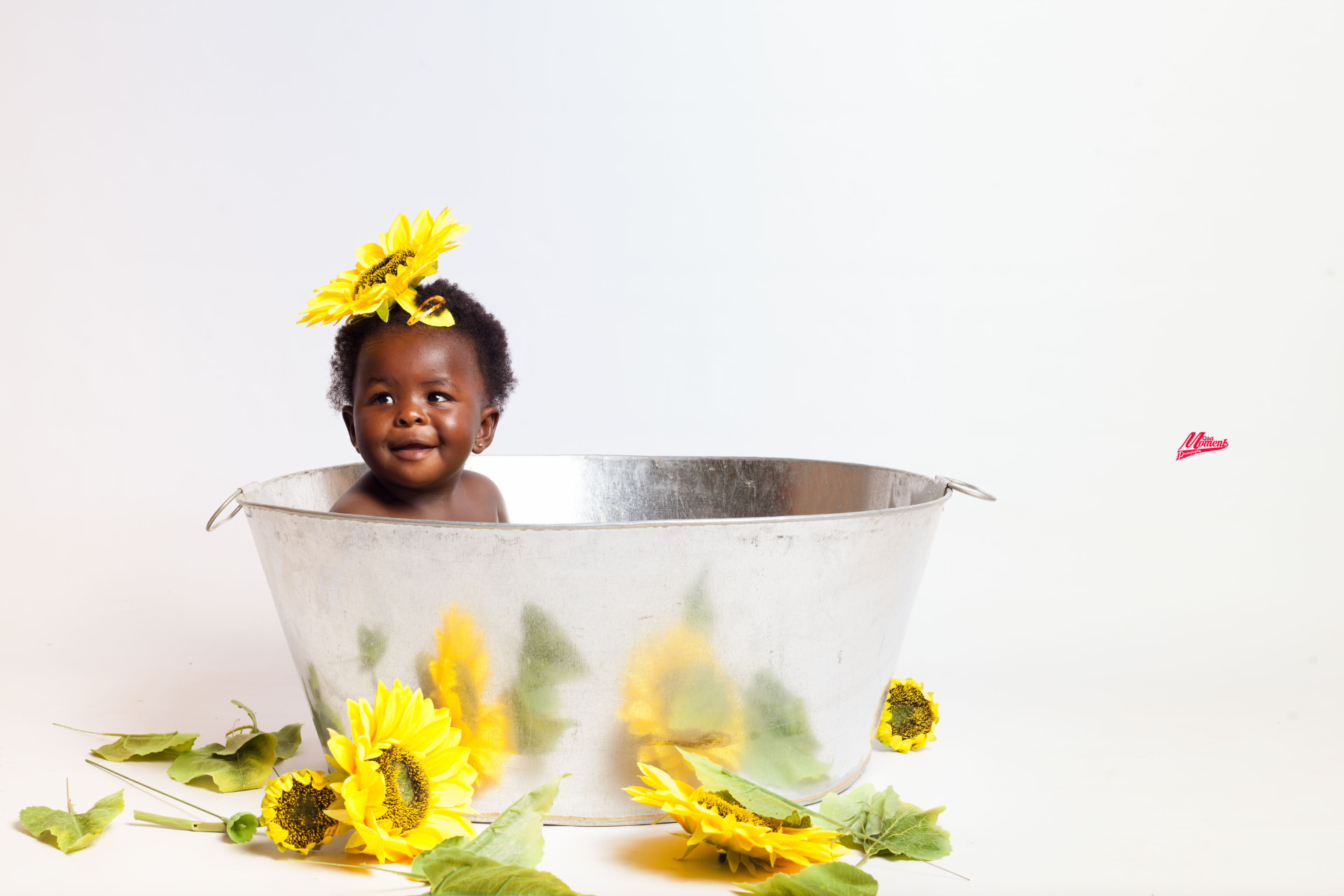 Studio portrait of a baby in a tub surrounded by sunflowers